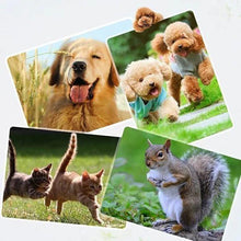 Load image into Gallery viewer, Pet Painless Nail Trimmer
